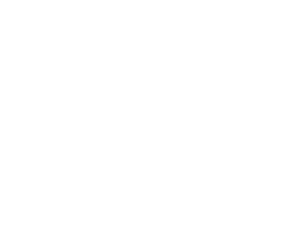 IDEA